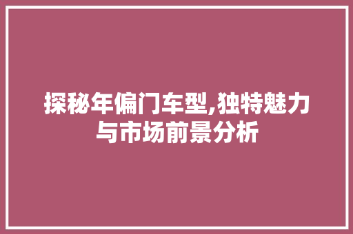 探秘年偏门车型,独特魅力与市场前景分析