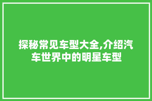 探秘常见车型大全,介绍汽车世界中的明星车型