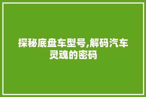 探秘底盘车型号,解码汽车灵魂的密码
