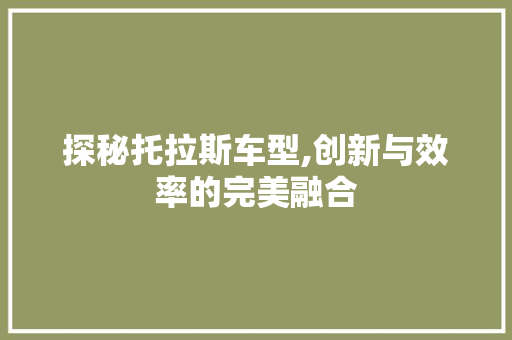 探秘托拉斯车型,创新与效率的完美融合