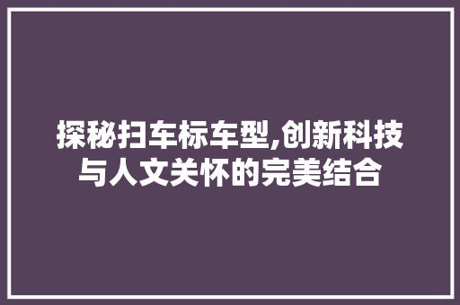探秘扫车标车型,创新科技与人文关怀的完美结合