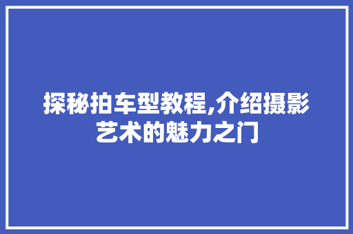探秘拍车型教程,介绍摄影艺术的魅力之门