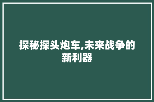 探秘探头炮车,未来战争的新利器