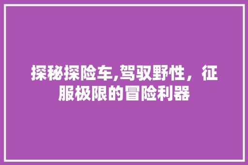 探秘探险车,驾驭野性，征服极限的冒险利器