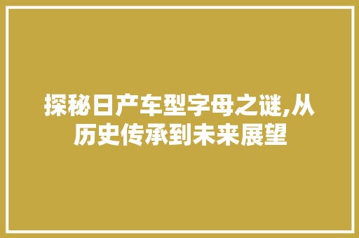 探秘日产车型字母之谜,从历史传承到未来展望