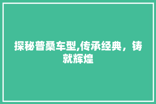 探秘普桑车型,传承经典，铸就辉煌