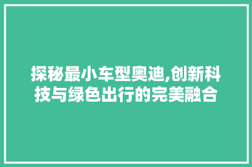 探秘最小车型奥迪,创新科技与绿色出行的完美融合