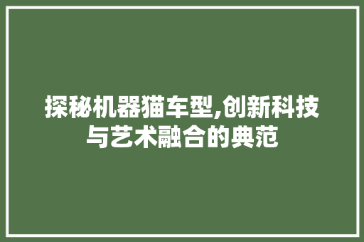 探秘机器猫车型,创新科技与艺术融合的典范