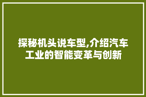 探秘机头说车型,介绍汽车工业的智能变革与创新