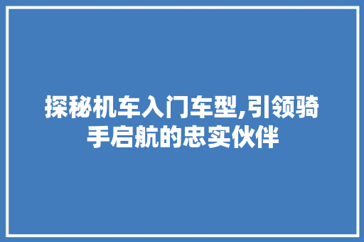 探秘机车入门车型,引领骑手启航的忠实伙伴