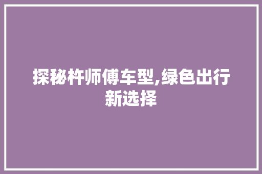 探秘杵师傅车型,绿色出行新选择