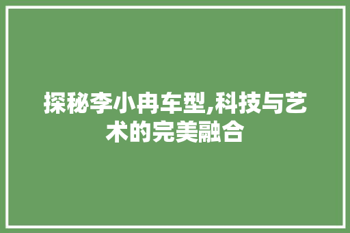 探秘李小冉车型,科技与艺术的完美融合