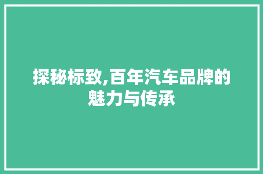 探秘标致,百年汽车品牌的魅力与传承
