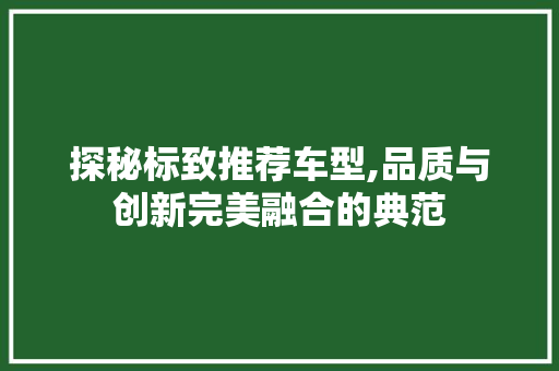 探秘标致推荐车型,品质与创新完美融合的典范
