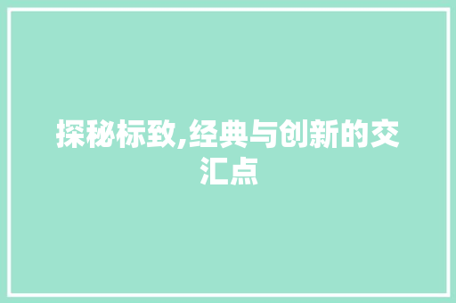 探秘标致,经典与创新的交汇点