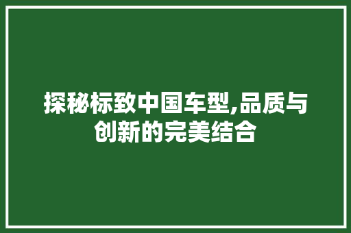 探秘标致中国车型,品质与创新的完美结合