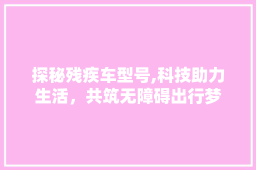 探秘残疾车型号,科技助力生活，共筑无障碍出行梦
