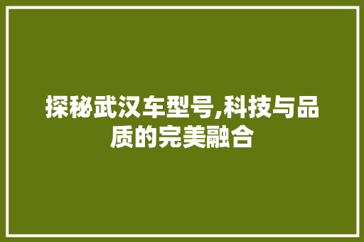 探秘武汉车型号,科技与品质的完美融合