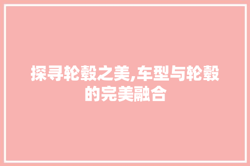 探寻轮毂之美,车型与轮毂的完美融合