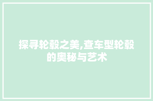 探寻轮毂之美,查车型轮毂的奥秘与艺术