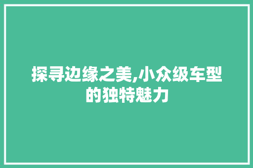 探寻边缘之美,小众级车型的独特魅力
