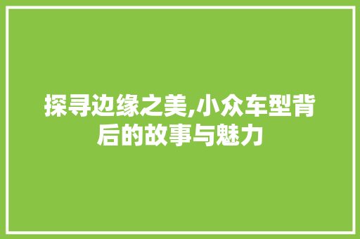 探寻边缘之美,小众车型背后的故事与魅力