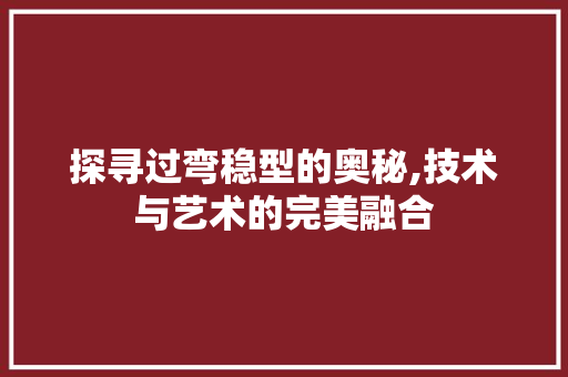 探寻过弯稳型的奥秘,技术与艺术的完美融合