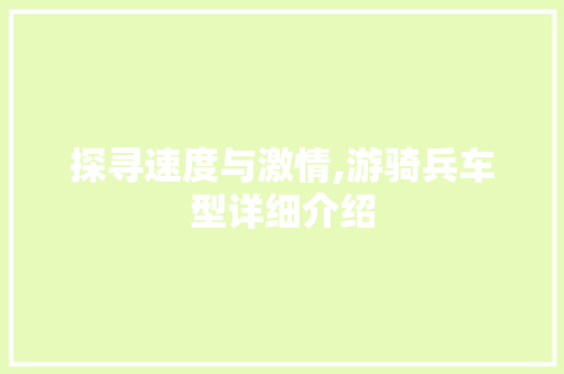 探寻速度与激情,游骑兵车型详细介绍