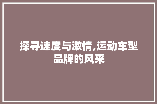 探寻速度与激情,运动车型品牌的风采