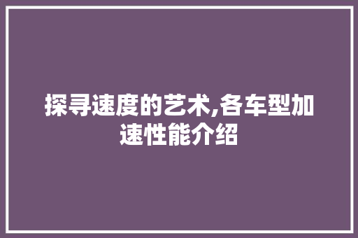 探寻速度的艺术,各车型加速性能介绍