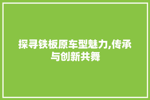 探寻铁板原车型魅力,传承与创新共舞