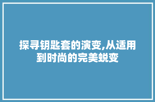探寻钥匙套的演变,从适用到时尚的完美蜕变