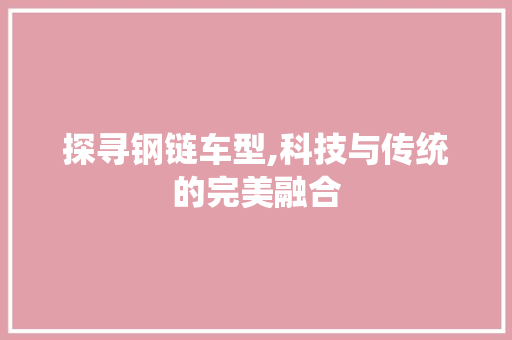 探寻钢链车型,科技与传统的完美融合 汽车配件