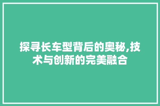 探寻长车型背后的奥秘,技术与创新的完美融合