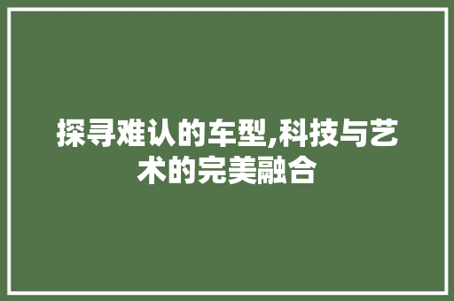探寻难认的车型,科技与艺术的完美融合
