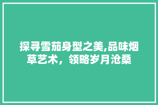 探寻雪茄身型之美,品味烟草艺术，领略岁月沧桑