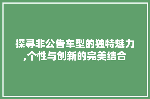 探寻非公告车型的独特魅力,个性与创新的完美结合