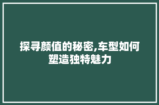 探寻颜值的秘密,车型如何塑造独特魅力