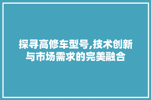 探寻高修车型号,技术创新与市场需求的完美融合