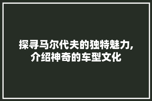 探寻马尔代夫的独特魅力,介绍神奇的车型文化