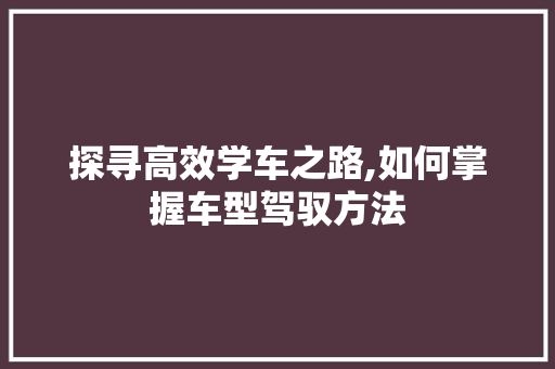 探寻高效学车之路,如何掌握车型驾驭方法