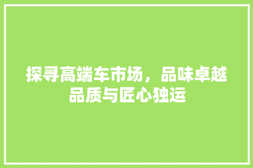 探寻高端车市场，品味卓越品质与匠心独运