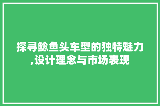 探寻鲶鱼头车型的独特魅力,设计理念与市场表现