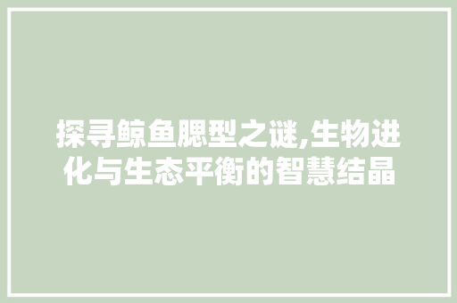 探寻鲸鱼腮型之谜,生物进化与生态平衡的智慧结晶