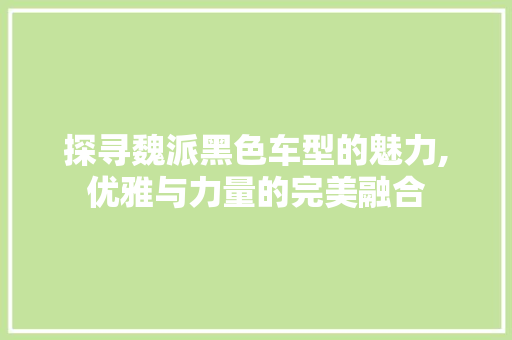 探寻魏派黑色车型的魅力,优雅与力量的完美融合