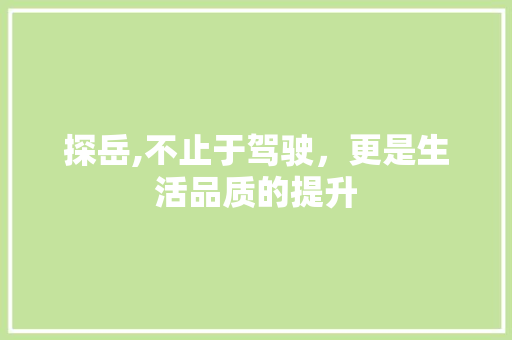 探岳,不止于驾驶，更是生活品质的提升