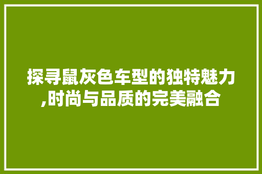 探寻鼠灰色车型的独特魅力,时尚与品质的完美融合