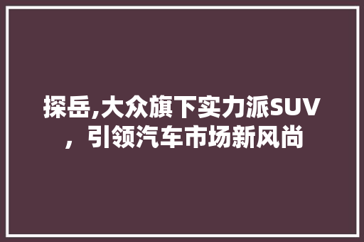 探岳,大众旗下实力派SUV，引领汽车市场新风尚