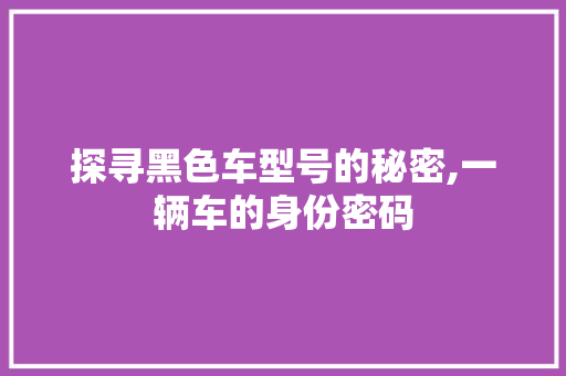 探寻黑色车型号的秘密,一辆车的身份密码