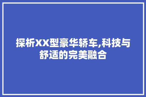 探析XX型豪华轿车,科技与舒适的完美融合